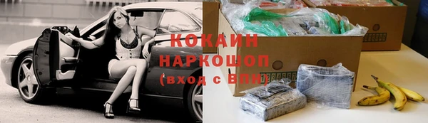 прущие грибы Карталы
