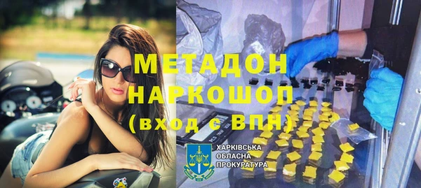 прущие грибы Карталы