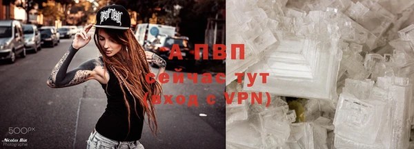 ешки Каменногорск