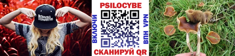 Псилоцибиновые грибы мухоморы  Плавск 