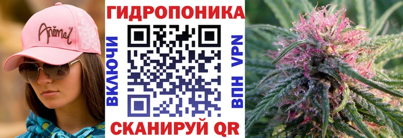Каннабис сатива  Плавск 